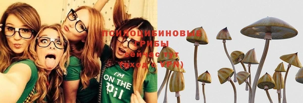 сатива Абдулино