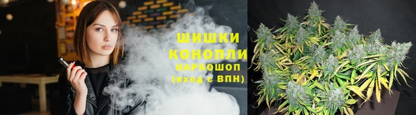 трава Алзамай