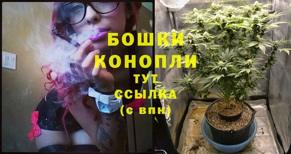 трава Алзамай