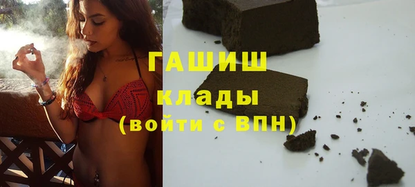 мет Алексин