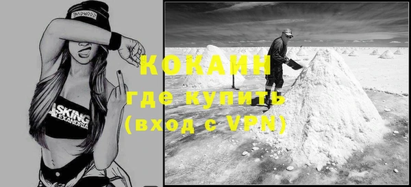 мет Алексин