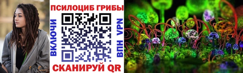 Галлюциногенные грибы GOLDEN TEACHER  Котельнич 